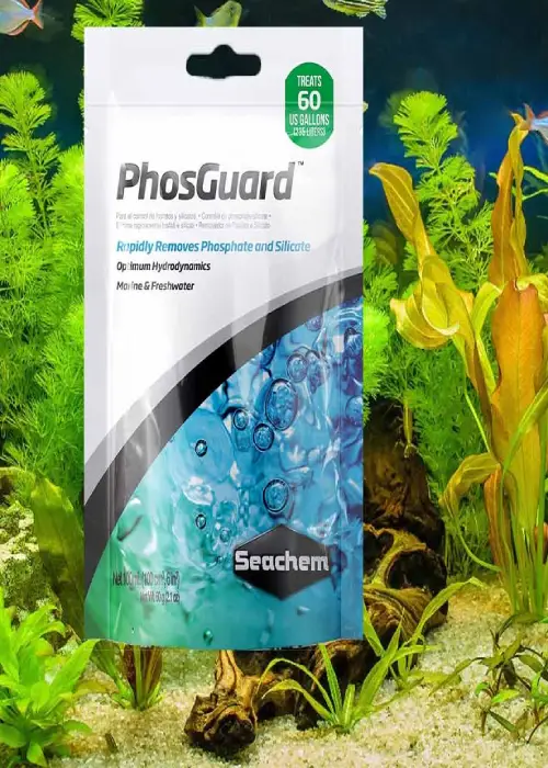 مدیای فلیتر حذف فسفات و سیلیکات سیچم SEACHEM PhosGuard سایز 100 میلی لیتر