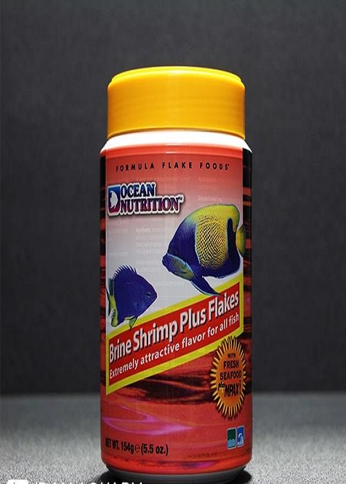 براین شریمپ پلاس پولکی (71g)