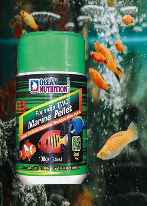 غذای فرمول دو آب شور متوسط اوشن نوتریشن(100گرم)